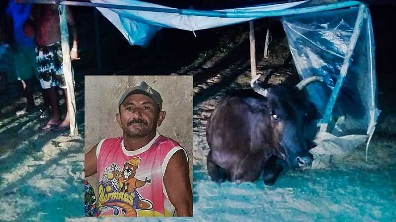 homem morre sufocado embaixo de uma vaca na cidade de apodi rn