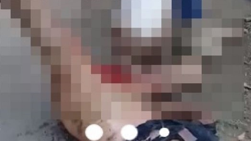 video acusado de estupro e entregue a pitbulls e tem seus orgaos dilacerados cenas fortes