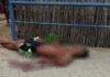 atentado a bala deixa um jovem morto e outro fica baleado na paraiba