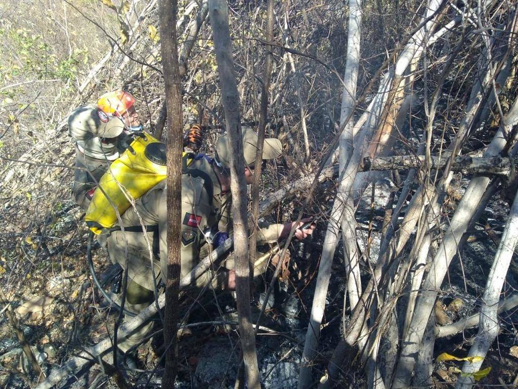 corpo de bombeiros de catole do rocha vem contendo todos os focos de incendio na regiao 2
