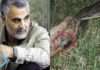 imagens de possivel corpo do general iraniano qasem soleimani morto chocam o mundo video