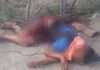 jovem e assassinado com varios disparos de arma de fogo na paraiba